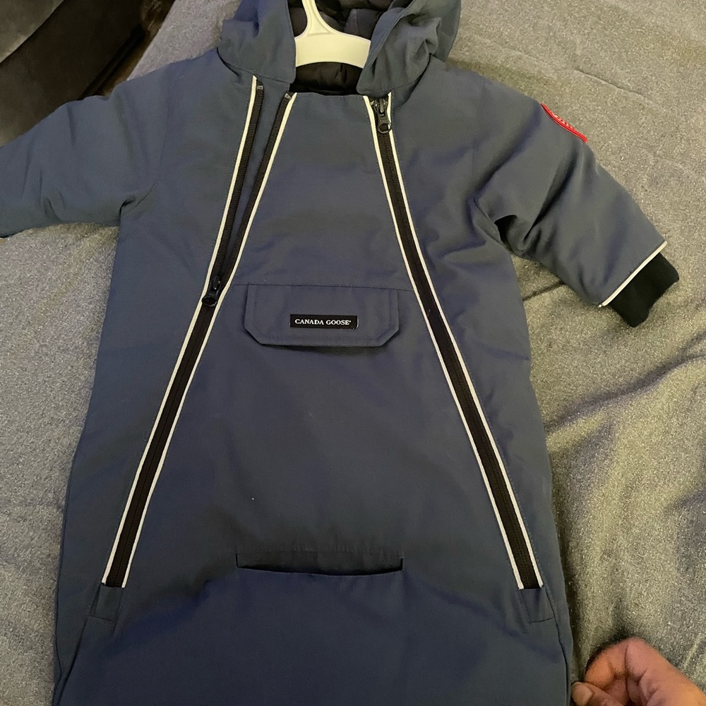 Canada goose infant